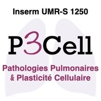 P3Cell