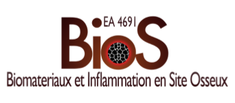 BIOS